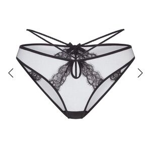 Agent provacator Nyxie breif